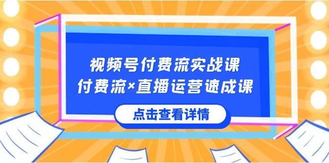 视频号付费流实战课,付费流×直播运营速成课,让你快速掌握视频号核心运营技能-云创网