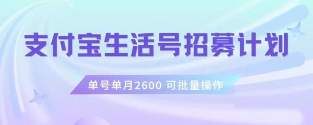 支付宝生活号作者招募计划,单号单月2600,可批量去做,工作室一人一个月轻松1w+【揭秘】-云创网