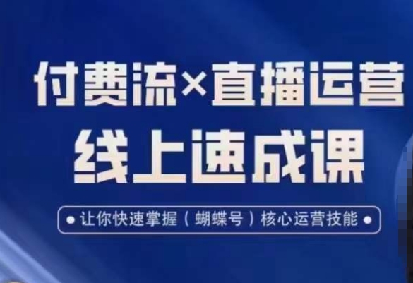 视频号付费流实操课程,付费流✖️直播运营速成课,让你快速掌握视频号核心运营技能-云创网