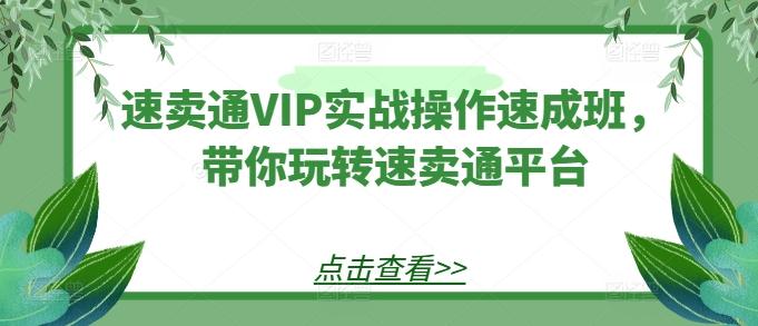 速卖通VIP实战操作速成班,带你玩转速卖通平台-云创网