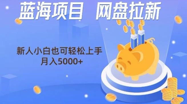 蓝海项目网盘拉新,新人小白也可操作,每月收入5000+-云创网