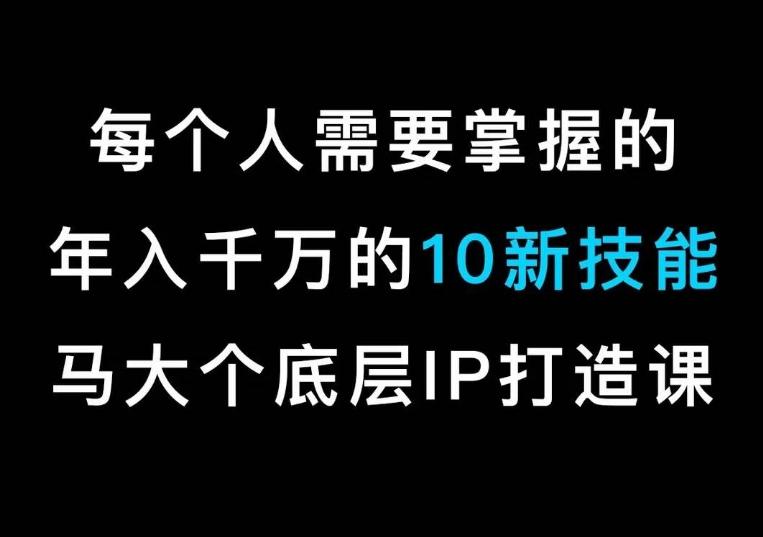 马大个的IP底层逻辑课,每个人需要掌握的年入千万的10新技能,约会底层IP打造方法!-云创网