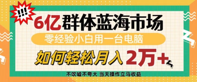 6亿群体蓝海市场,零经验小白用一台电脑,如何轻松月入过w【揭秘】-云创网