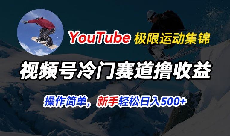视频号冷门赛道撸收益,YouTube搬运极限运动集锦,暴力起号,操作简单流量高,轻松日入5张【揭秘】-云创网