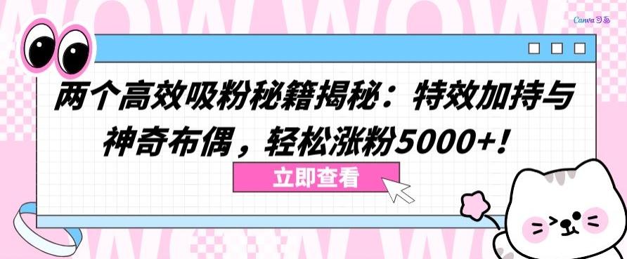 两个高效吸粉秘籍揭秘:特效加持与神奇布偶,轻松涨粉5000+【揭秘】-云创网