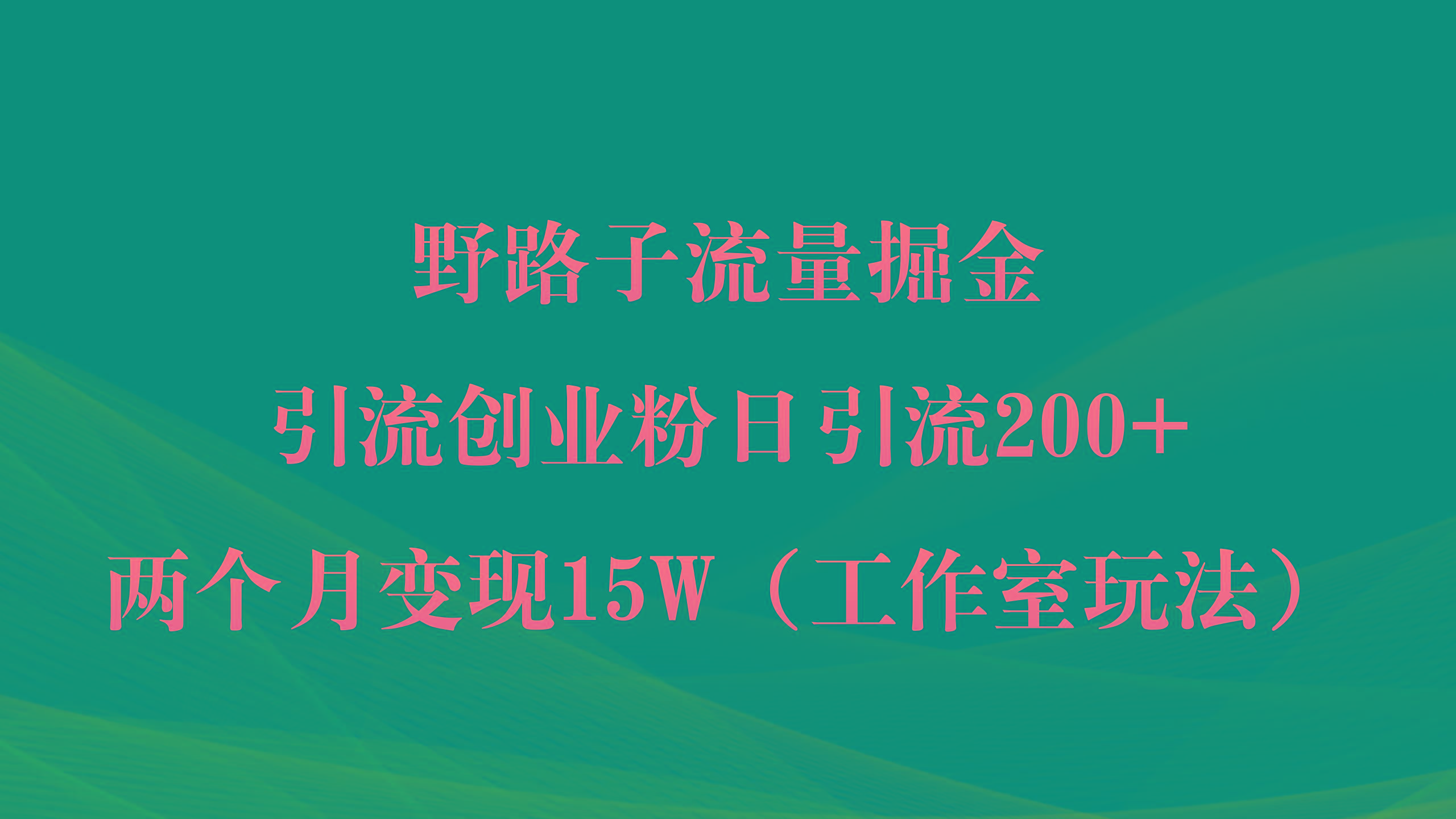 (9513期)野路子流量掘金,引流创业粉日引流200+,两个月变现15W(工作室玩法))-云创网