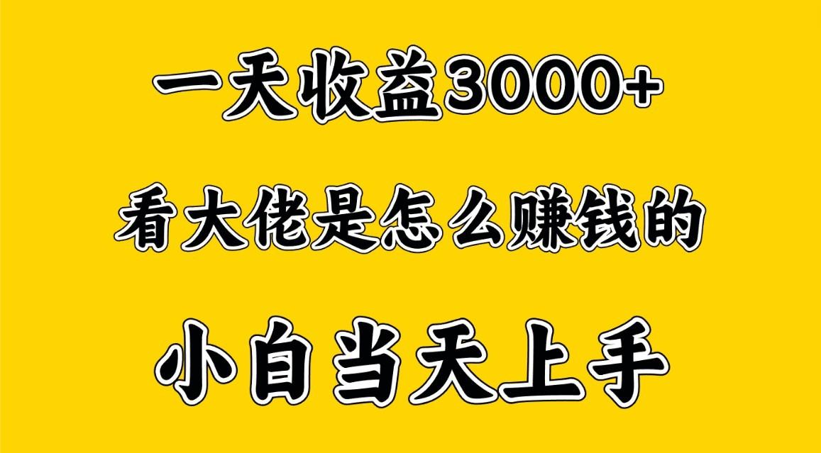 一天赚3000多,大佬是这样赚到钱的,小白当天上手,穷人翻身项目-云创网