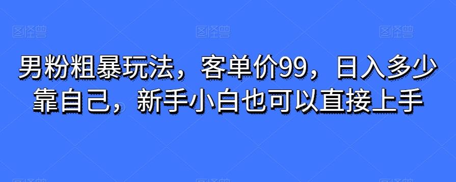 男粉粗暴玩法,客单价99,日入多少靠自己,新手小白也可以直接上手-云创网