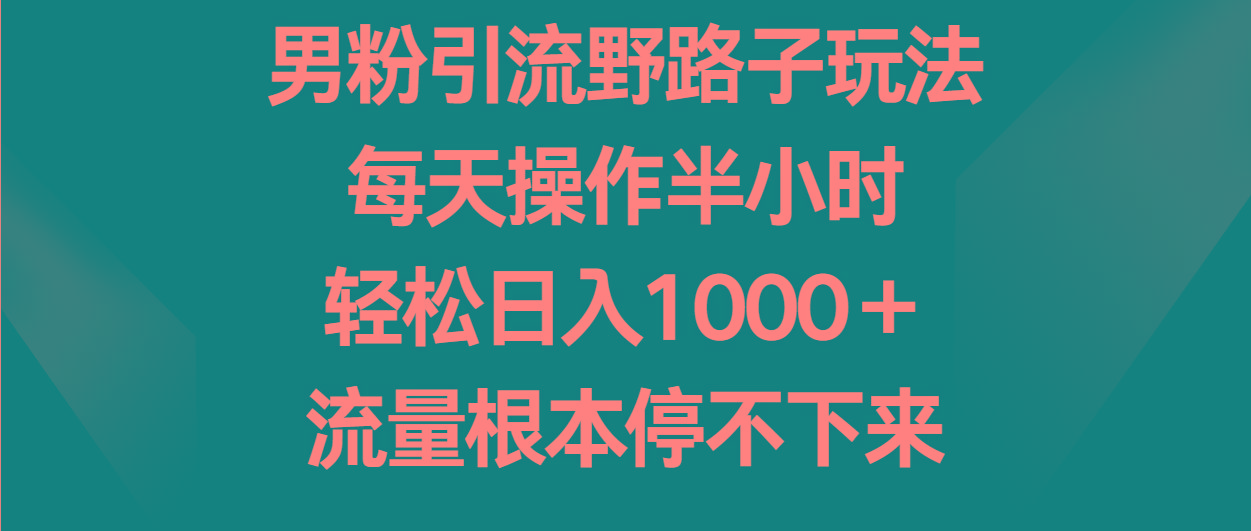 男粉引流野路子玩法，每天操作半小时轻松日入1000＋，流量根本停不下来-云创网