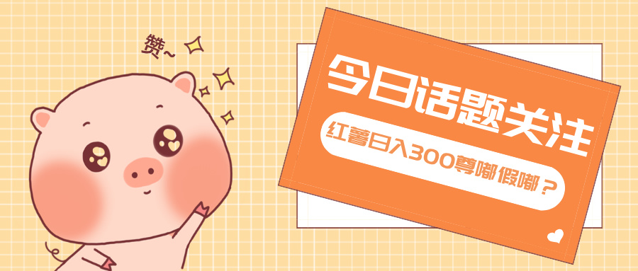 全新红薯浏览,打破常规 双端操作,每天运行6小时,让你获得工作以外的...-云创网