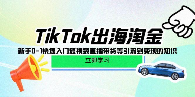 (10035期)TikTok-出海淘金,新手0-1快速入门短视频直播带货等引流到变现的知识-云创网