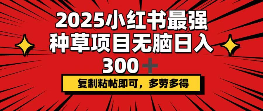 2025小红书最强种草项目,无脑日入300+,复制粘帖即可,多劳多得-云创网