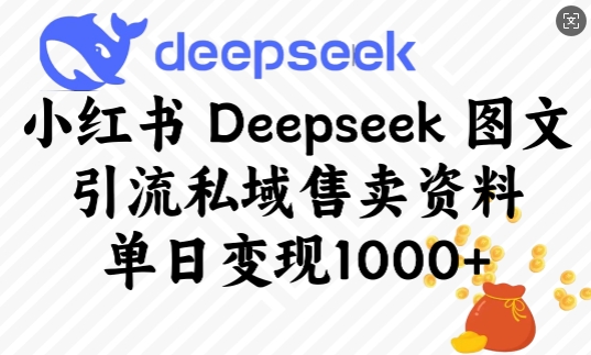 小红书Deepseek图文引流私域售卖资料,单日变现多张-云创网