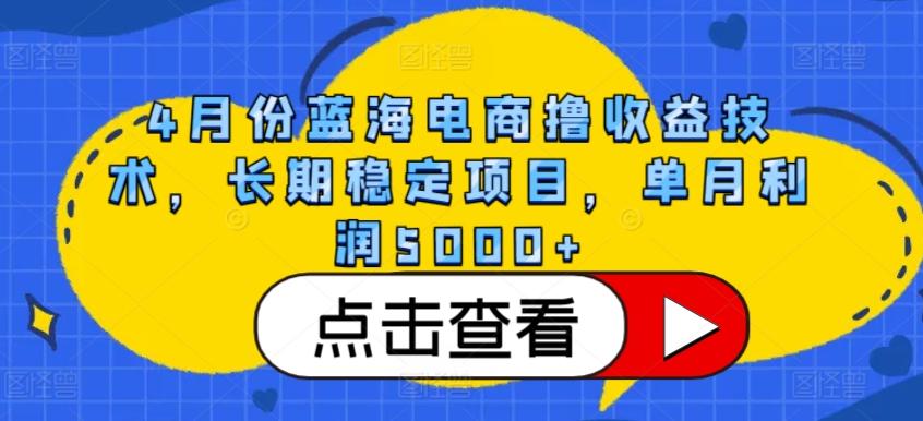 4月份蓝海电商撸收益技术,长期稳定项目,单月利润5000+【揭秘】-云创网