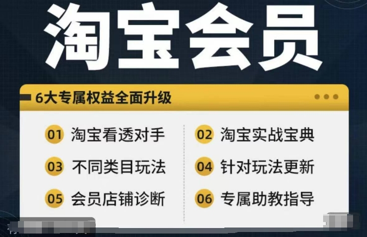 淘宝会员【淘宝所有课程,全面分析对手】,初级到高手全系实战宝典-云创网