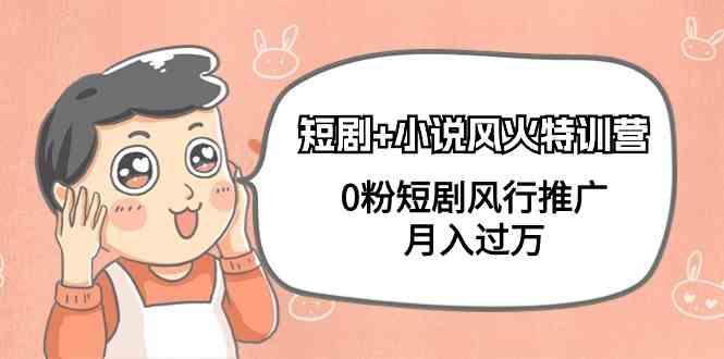 小说+短剧风火特训营，0粉短剧小说风行推广，实现月入过万-云创网