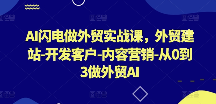 AI闪电做外贸实战课，​外贸建站-开发客户-内容营销-从0到3做外贸AI(更新)-云创网