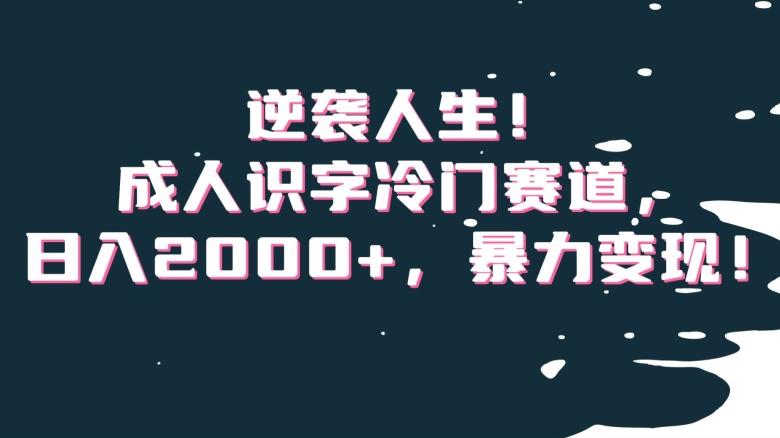 逆袭人生!成人识字冷门赛道,日入2000+,暴力变现!【揭秘】-云创网