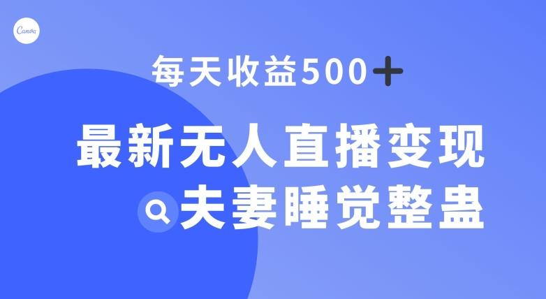最新无人直播变现,夫妻睡觉整蛊,每天躺赚500+【揭秘】-云创网