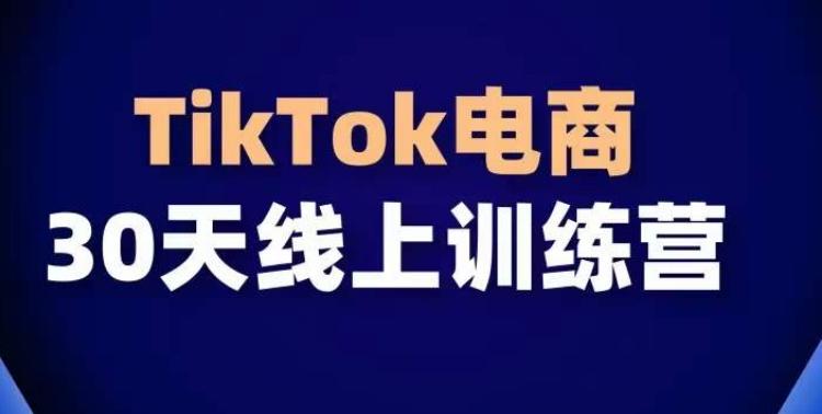 TikTok电商带货30天线上课，不可错过的全球流量洼地！-云创网