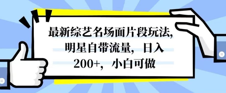 最新综艺名场面片段玩法,明星自带流量,日入200+,小白可做【揭秘】-云创网