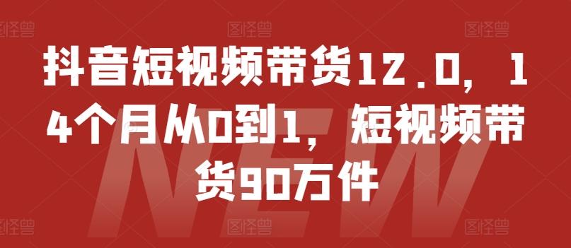 抖音短视频带货12.0,14个月从0到1,短视频带货90万件-云创网