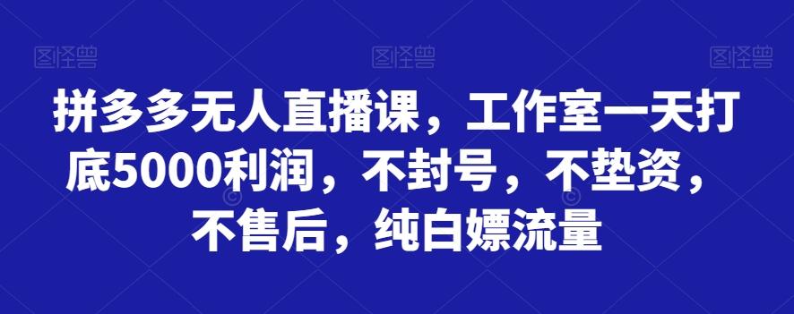 拼多多无人直播课,工作室一天打底5000利润,不封号,不垫资,不售后,纯白嫖流量-云创网
