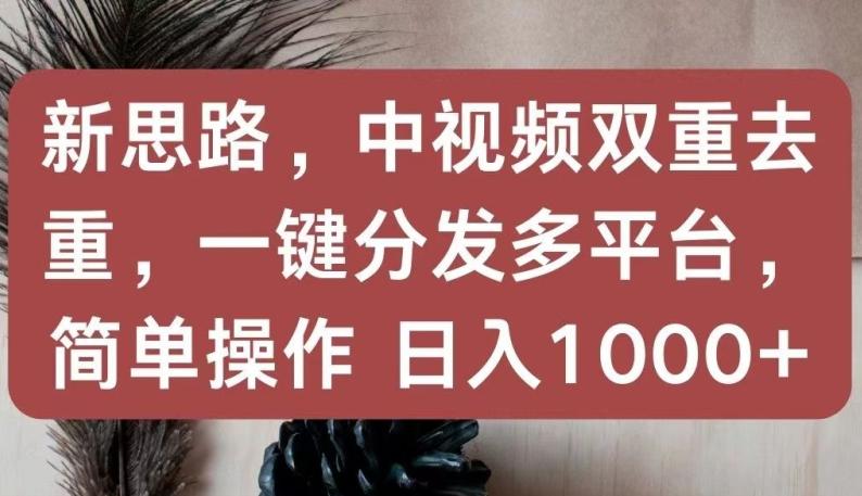 新思路,中视频双重去重,一键分发多平台,简单操作,日入1000+【揭秘】-云创网