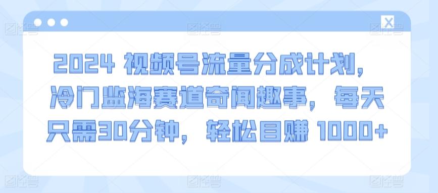 2024视频号流量分成计划,冷门监海赛道奇闻趣事,每天只需30分钟,轻松目赚 1000+【揭秘】-云创网