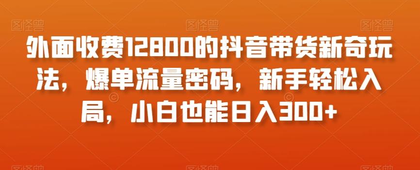 外面收费12800的抖音带货新奇玩法,爆单流量密码,新手轻松入局,小白也能日入300+【揭秘】-云创网