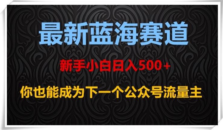 最新蓝海赛道,新手小白日入500+,你也能成为下一个公众号流量主【揭秘】-云创网