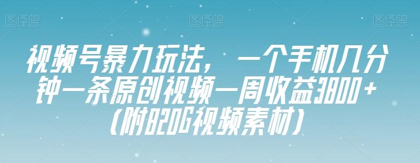 视频号暴力玩法,一个手机几分钟一条原创视频一周收益3800+(附820G视频素材)-云创网