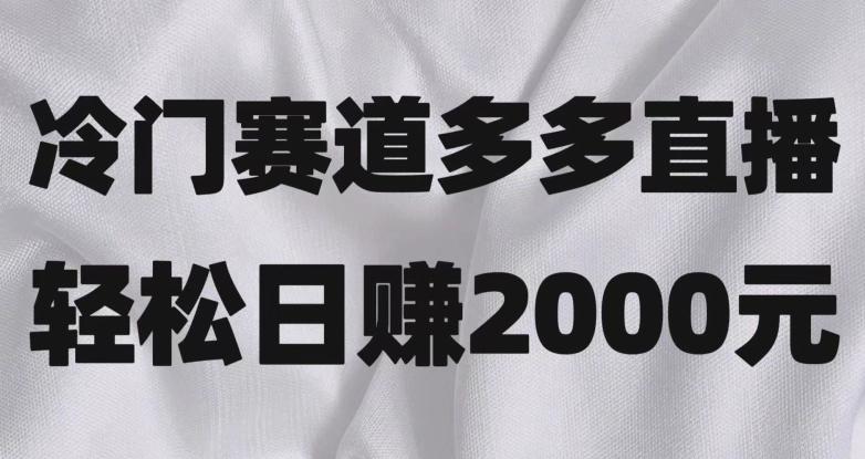 冷门赛道拼多多直播,简单念稿子,日收益2000+【揭秘】-云创网