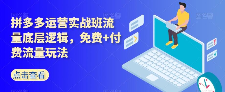 拼多多运营实战班流量底层逻辑,免费+付费流量玩法-云创网