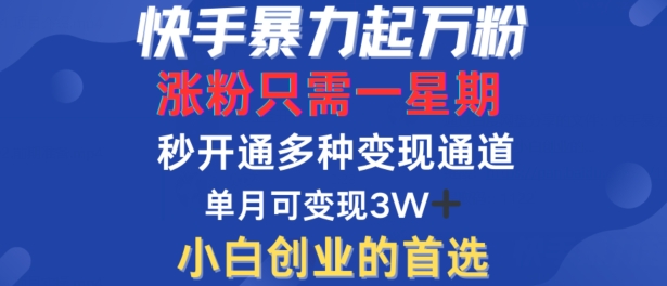 快手暴力起万粉，涨粉只需一星期，多种变现模式，直接秒开万合，单月变现过W【揭秘】-云创网
