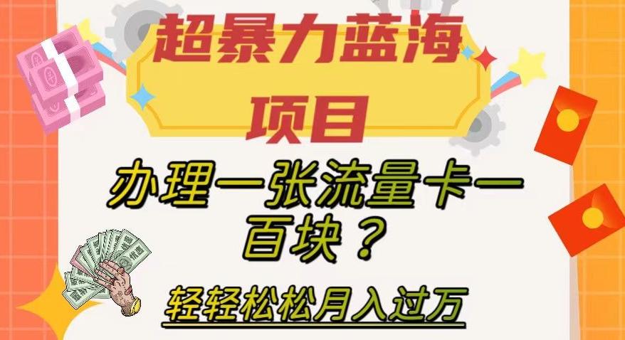 超暴力蓝海项目,办理一张流量卡一百块?轻轻松松月入过万,保姆级教程【揭秘】-云创网