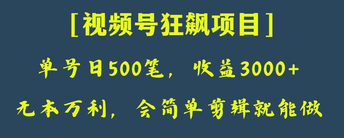日收款500笔,纯利润3000+,视频号狂飙项目,会简单剪辑就能做【揭秘】-云创网