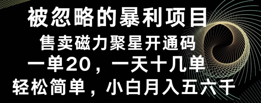 被忽略的暴利项目！售卖磁力聚星开通码，一单20，一天十几单，轻松月入五六千-云创网