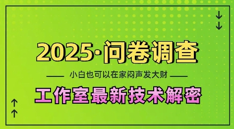 2025问卷调查最新工作室技术解密:一个人在家也可以闷声发大财,小白一天2张,可矩阵放大【揭秘】-云创网