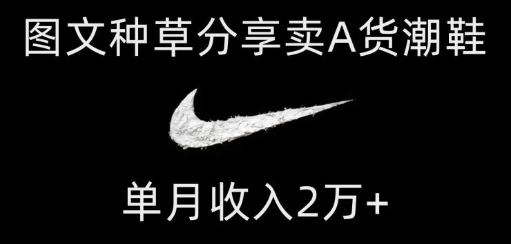 靠图文种草分享卖A货潮鞋,每天一小时,单月收入2万+【揭秘】-云创网