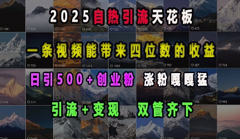 2025自热引流天花板,一条视频能带来四位数的收益,引流+变现双管齐下,日引500+创业粉,涨粉嘎嘎猛-云创网