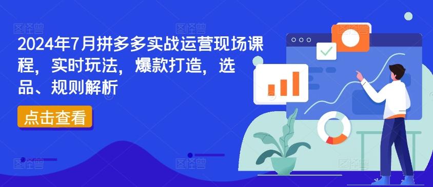 2024年7月拼多多实战运营现场课程,实时玩法,爆款打造,选品、规则解析-云创网