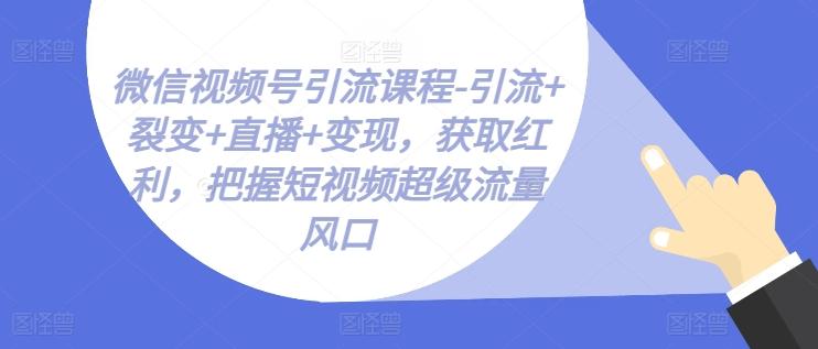 微信视频号引流课程-引流+裂变+直播+变现，获取红利，把握短视频超级流量风口-云创网