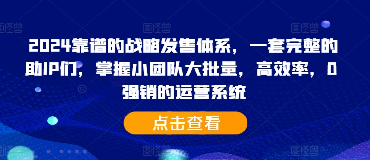 2024靠谱的战略发售体系,一套完整的助IP们,掌握小团队大批量,高效率,0 强销的运营系统-云创网