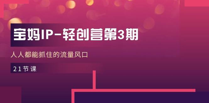 宝妈IP-轻创营第3期,人人都能抓住的流量风口(21节课-云创网