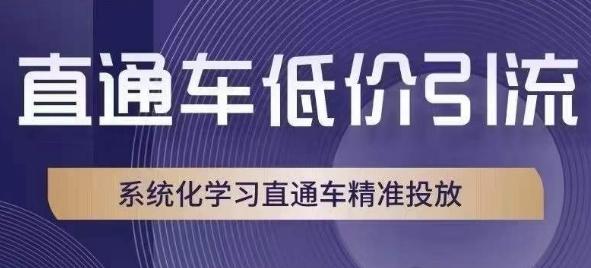直通车低价引流课,系统化学习直通车精准投放-云创网