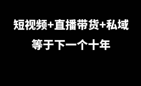 短视频+直播带货+私域等于下一个十年,大佬7年实战经验总结-云创网