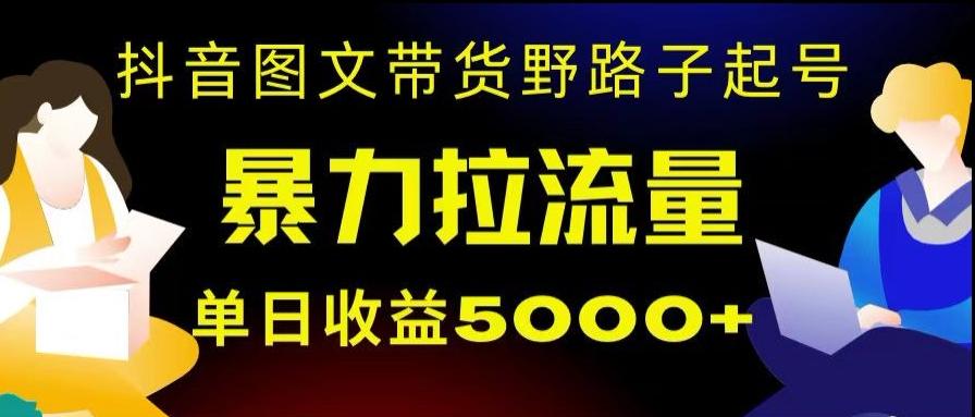 抖音图文带货暴力起号,单日收益5000+,野路子玩法,简单易上手,一部手机即可【揭秘】-云创网