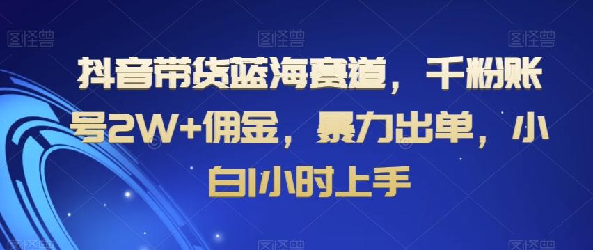 抖音带货蓝海赛道,千粉账号2W+佣金,暴力出单,小白1小时上手【揭秘】-云创网