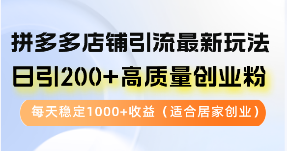 拼多多店铺引流最新玩法,日引200+高质量创业粉,每天稳定1000+收益(...-云创网